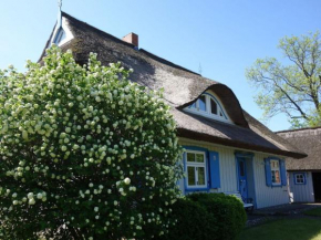 Captain House South Cats 8 in Wieck Am Darß